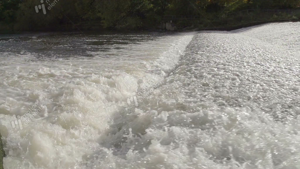 Salmon Jumping Out Of River Severn Near Shrewsbury Stock video footage