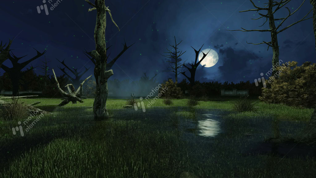 Night Swamp With Mystic Lights Cinemagraph Stock Animation | 10363602