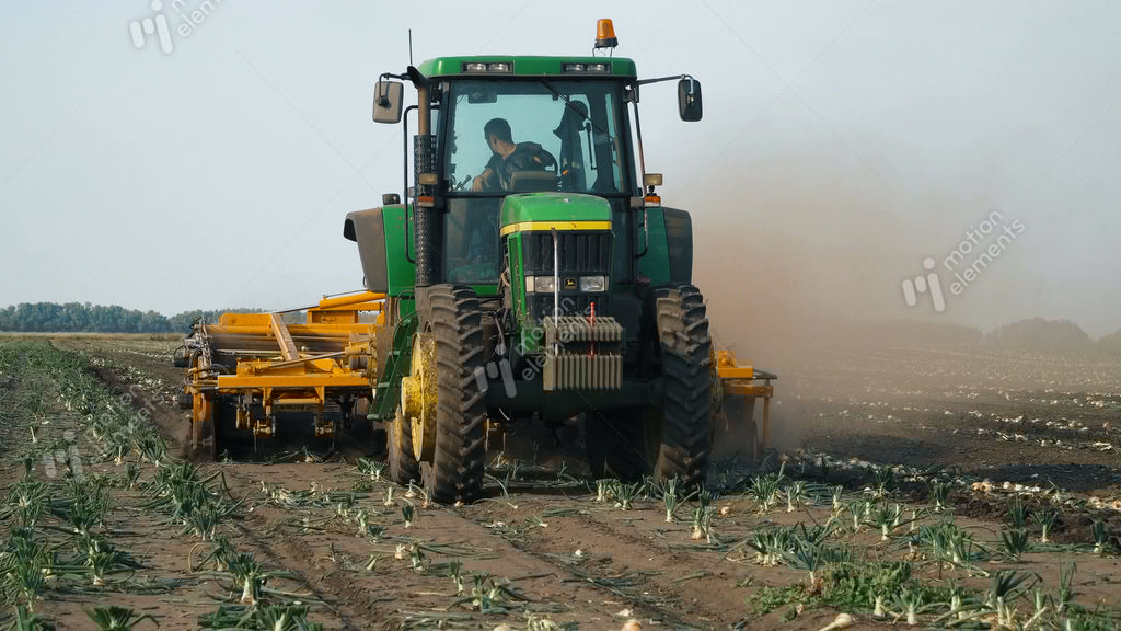 Combine Harvester Harvest Onion Stock video footage 10766023