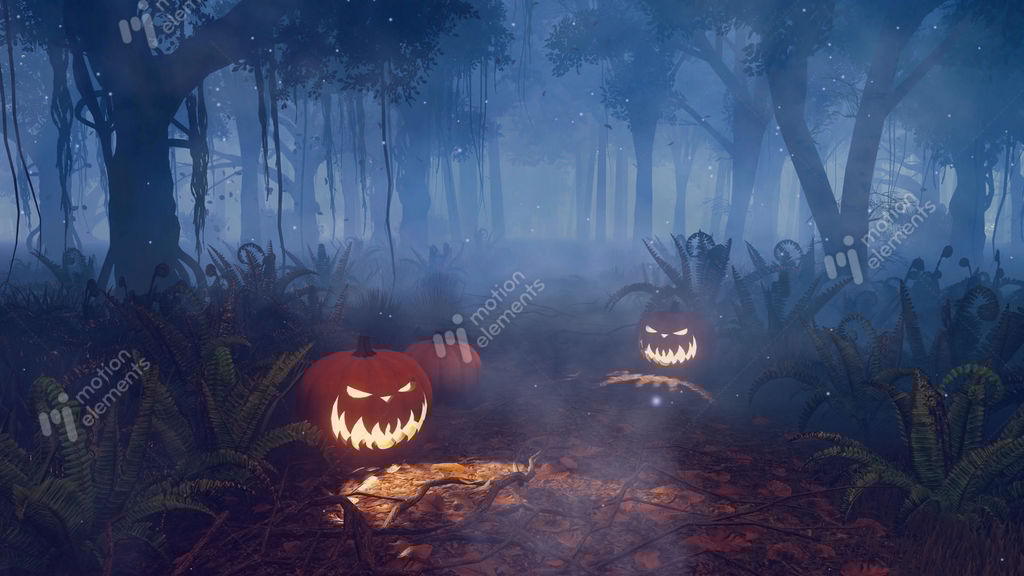 halloween pumpkins in magical night forest stock video footage