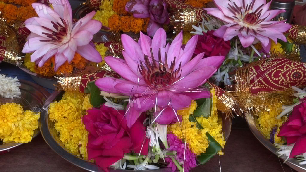 Hindu Ritual Religion Lotus And Other Flowers, Mumbai Stock video