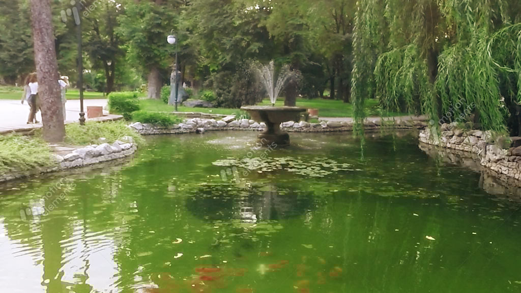 Fountains In Central Park, Plovdiv, Bulgaria Stock video footage 11203197